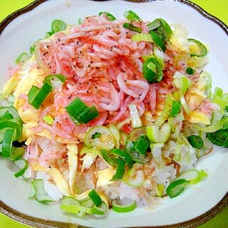 釜揚げあみえびとネギおかか丼